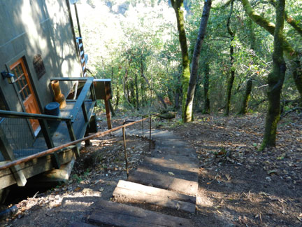 After ... Lean, Clean and Green